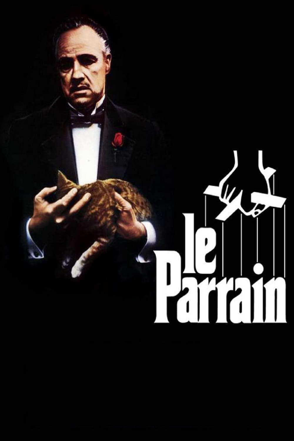 Poster Film